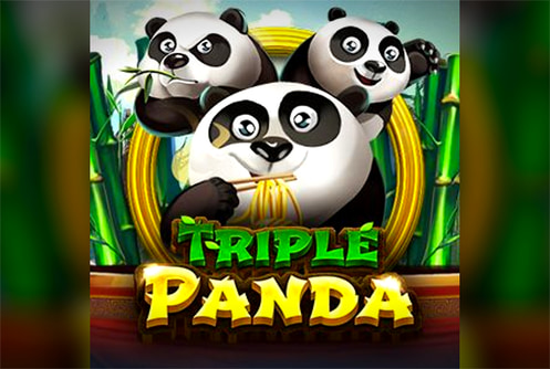Triple Panda